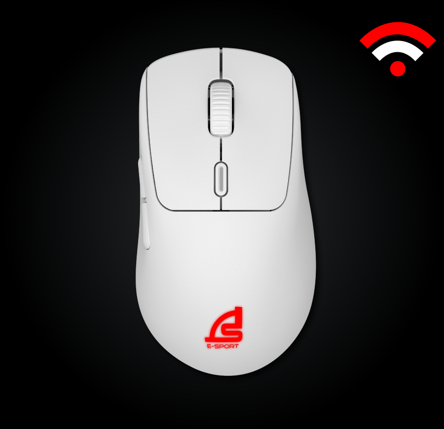 mouse